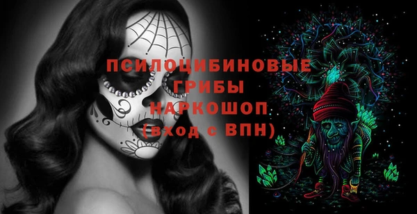 не бодяженный Аркадак